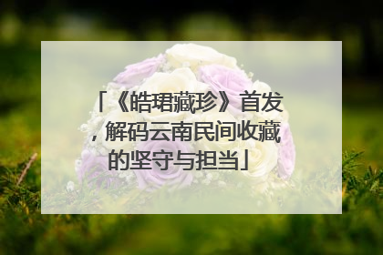 《皓珺藏珍》首发，解码云南民间收藏的坚守与担当