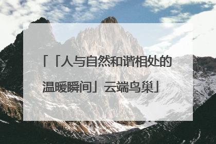 「人与自然和谐相处的温暖瞬间」云端鸟巢