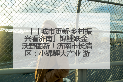 「城市更新·乡村振兴看济南」锦鲤跃金 沃野图新！济南市长清区：小锦鲤大产业 游出农旅新风景