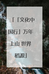 「文化中国行」万年上山 世界稻源