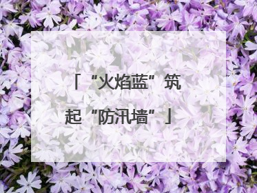 “火焰蓝”筑起“防汛墙”