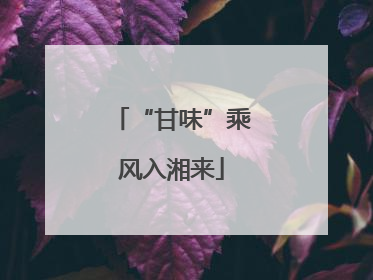 “甘味”乘风入湘来