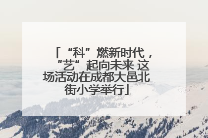 “科”燃新时代，“艺”起向未来 这场活动在成都大邑北街小学举行
