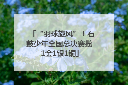 “羽球旋风”！石鼓少年全国总决赛揽1金1银1铜