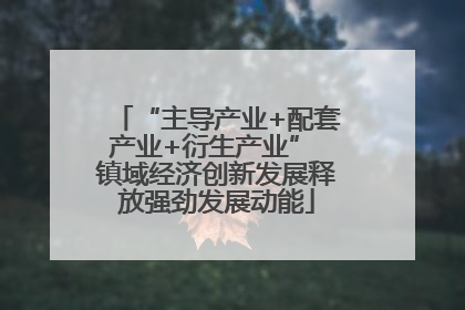 “主导产业+配套产业+衍生产业” 镇域经济创新发展释放强劲发展动能