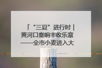“三夏”进行时｜黄河口奏响丰收乐章——全市小麦进入大面积收获高峰期