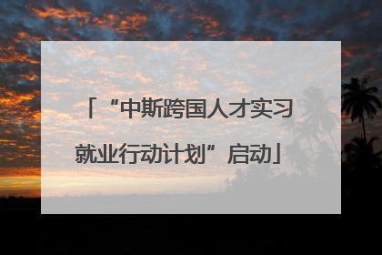“中斯跨国人才实习就业行动计划”启动
