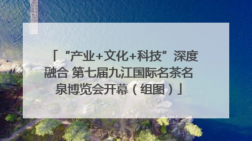 “产业+文化+科技”深度融合 第七届九江国际名茶名泉博览会开幕（组图）