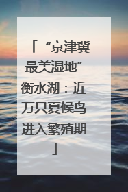 “京津冀最美湿地”衡水湖：近万只夏候鸟进入繁殖期