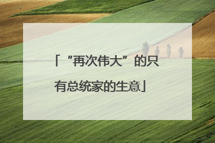 “再次伟大”的只有总统家的生意