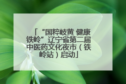 “国粹岐黄 健康铁岭”辽宁省第二届中医药文化夜市（铁岭站）启动
