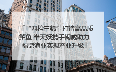 “四检三筛”打造高品质鲈鱼 半天妖携手闽威助力福鼎渔业实现产业升级