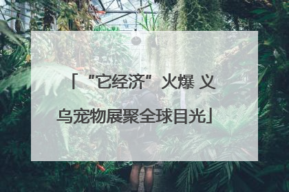 “它经济”火爆 义乌宠物展聚全球目光