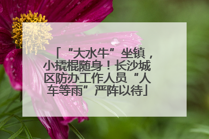 “大水牛”坐镇，小撬棍随身！长沙城区防办工作人员“人车等雨”严阵以待