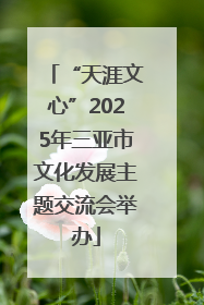 “天涯文心”2025年三亚市文化发展主题交流会举办