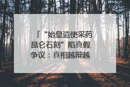“始皇遣使采药昆仑石刻”陷真假争议：真相越辩越明｜新京报专栏