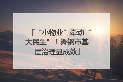 “小物业”牵动“大民生”！舞钢市基层治理显成效