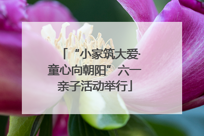 “小家筑大爱·童心向朝阳”六一亲子活动举行