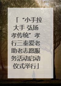 “小手拉大手 弘扬孝传统”孝行三秦爱老助老志愿服务活动启动仪式举行