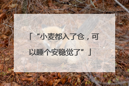 “小麦都入了仓，可以睡个安稳觉了”