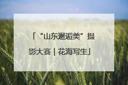 “山东邂逅美”摄影大赛｜花海写生