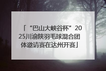 “巴山大峡谷杯”2025川渝陕羽毛球混合团体邀请赛在达州开赛