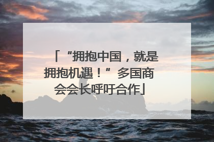 “拥抱中国，就是拥抱机遇！”多国商会会长呼吁合作