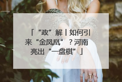 “政”解丨如何引来“金凤凰”？河南亮出“一盘棋”