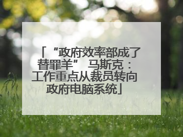 “政府效率部成了替罪羊” 马斯克：工作重点从裁员转向政府电脑系统