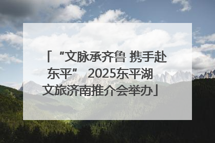 “文脉承齐鲁 携手赴东平” 2025东平湖文旅济南推介会举办