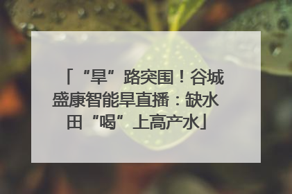“旱”路突围！谷城盛康智能旱直播：缺水田“喝”上高产水