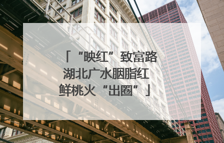 “映红”致富路 湖北广水胭脂红鲜桃火“出圈”