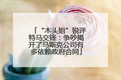 “木头姐”锐评特马交锋：争吵揭开了马斯克公司有多依赖政府合同
