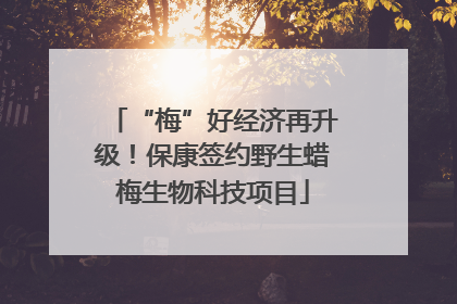 “梅”好经济再升级！保康签约野生蜡梅生物科技项目