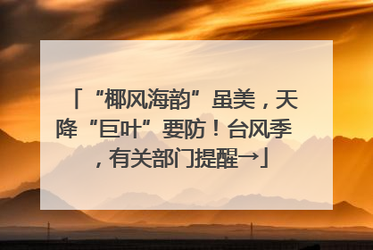 “椰风海韵”虽美，天降“巨叶”要防！台风季，有关部门提醒→