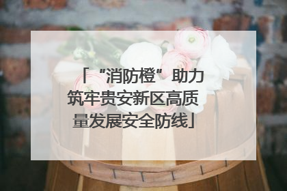 “消防橙”助力筑牢贵安新区高质量发展安全防线
