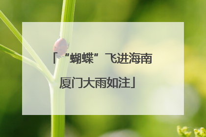 “蝴蝶”飞进海南 厦门大雨如注