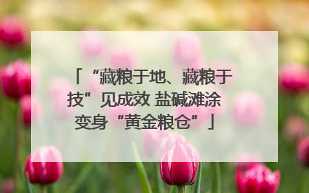 “藏粮于地、藏粮于技”见成效 盐碱滩涂变身“黄金粮仓”