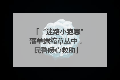“迷路小狍崽”落单蜷缩草丛中，民警暖心救助