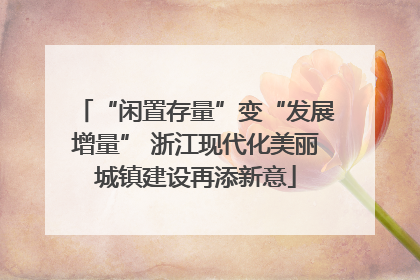 “闲置存量”变“发展增量” 浙江现代化美丽城镇建设再添新意