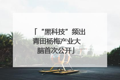 “黑科技”频出 青田杨梅产业大脑首次公开