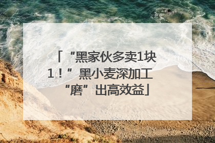 “黑家伙多卖1块1！”黑小麦深加工“磨”出高效益
