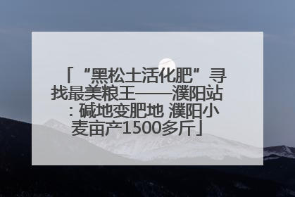 “黑松土活化肥”寻找最美粮王——濮阳站：碱地变肥地 濮阳小麦亩产1500多斤