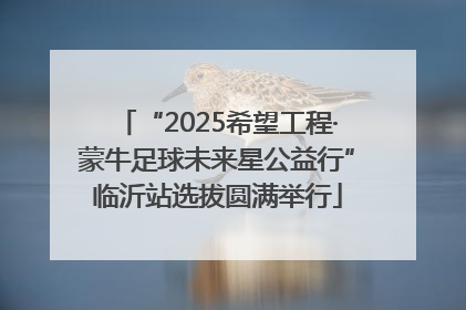 “2025希望工程·蒙牛足球未来星公益行”临沂站选拔圆满举行