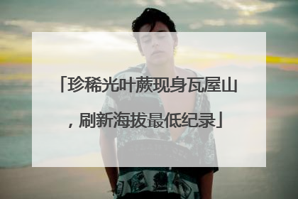 珍稀光叶蕨现身瓦屋山，刷新海拔最低纪录