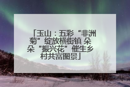 玉山：五彩“非洲菊”绽放横街镇 朵朵“振兴花”催生乡村共富图景