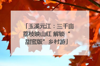 玉溪元江：三千亩荔枝映山红 解锁“甜蜜版”乡村游