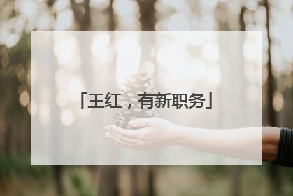 王红，有新职务