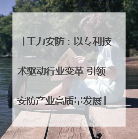 王力安防：以专利技术驱动行业变革 引领安防产业高质量发展