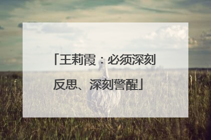 王莉霞：必须深刻反思、深刻警醒